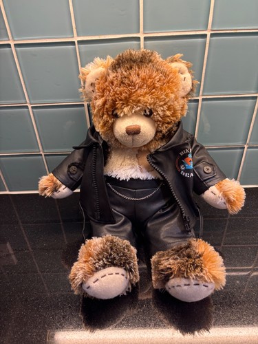 Build bear teddy - build,