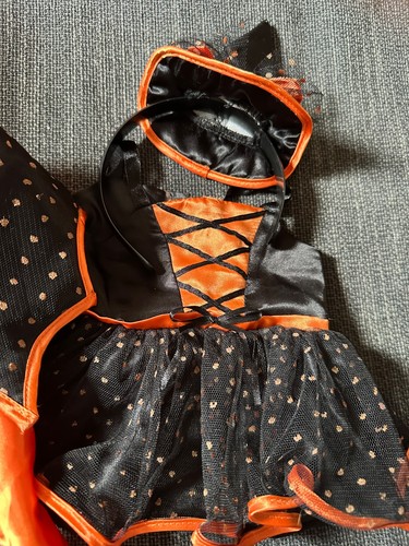 Build bear witch outfit - bear,